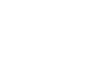 The Hawk